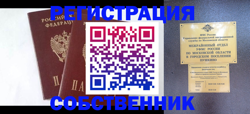прописка поиск в Ельне